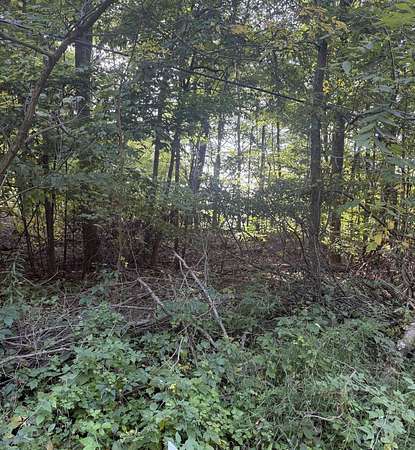 0.44 Acres of Residential Land for Sale in Plainwell, Michigan