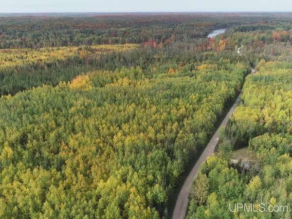 40 Acres of Recreational Land for Sale in Rock, Michigan