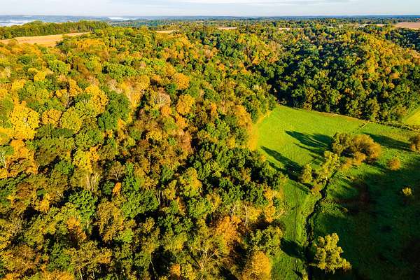 40 Acres of Recreational Land for Sale in Richland Center, Wisconsin