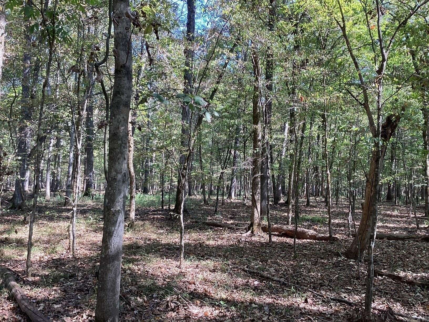 53 Acres of Recreational Land for Sale in Okolona, Arkansas