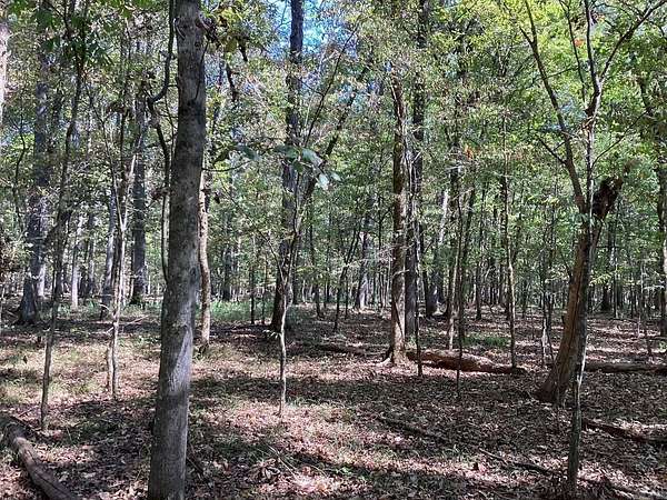 53 Acres of Recreational Land for Sale in Okolona, Arkansas