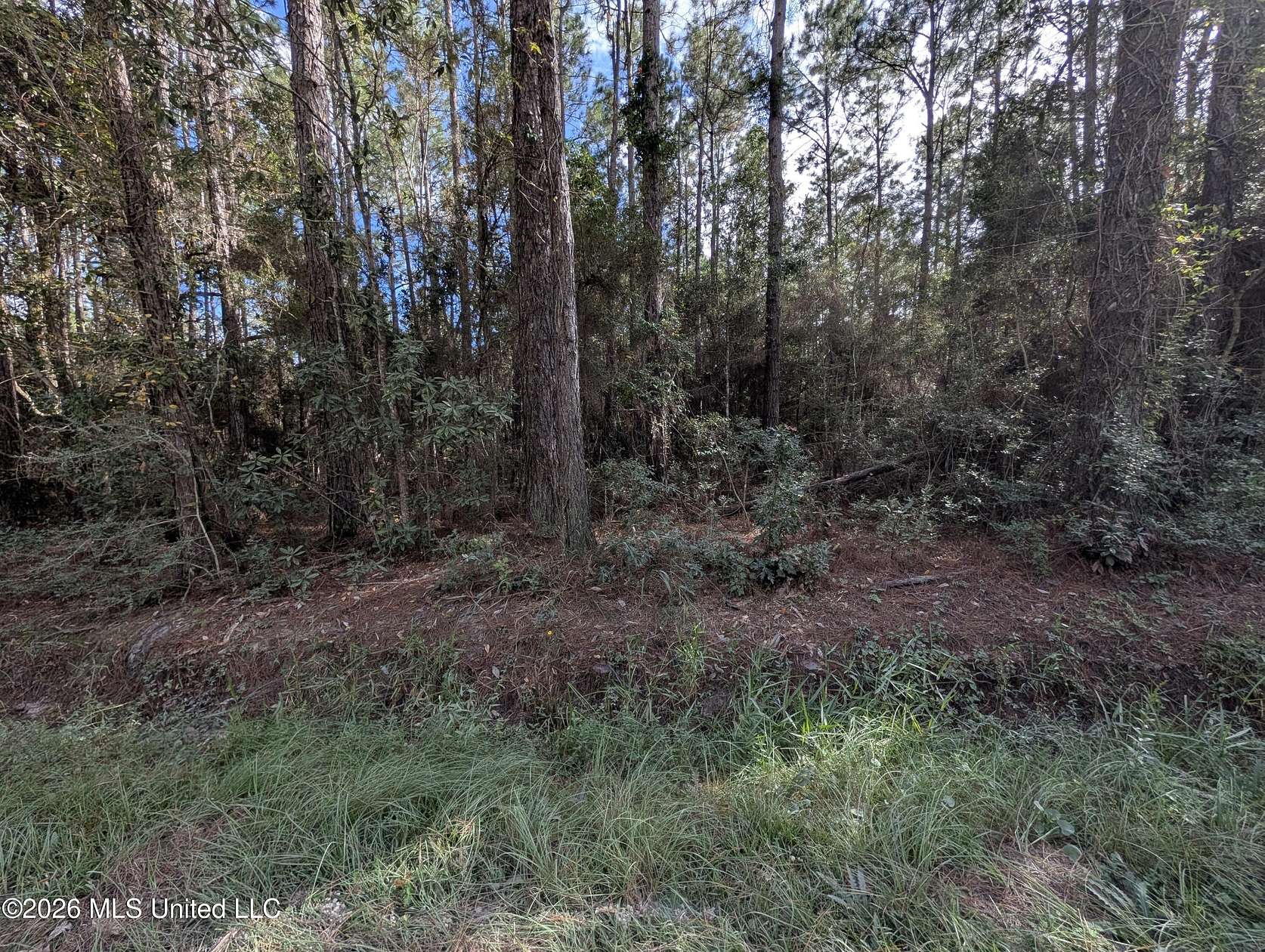 0.47 Acres of Residential Land for Sale in Bay St. Louis, Mississippi