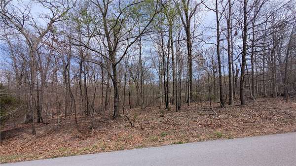 0.29 Acres of Residential Land for Sale in Bella Vista, Arkansas