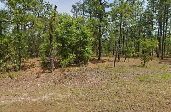 1 Acre of Residential Land for Sale in Dunnellon, Florida