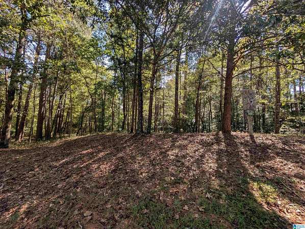 2.75 Acres of Residential Land for Sale in Anniston, Alabama
