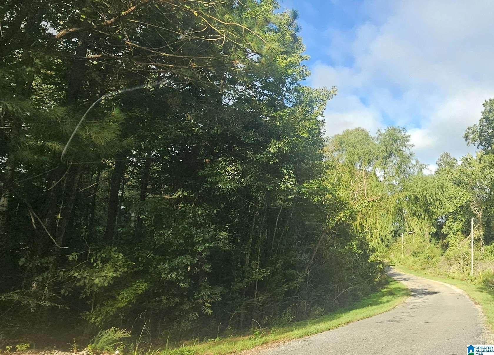 2.74 Acres of Land for Sale in Valley Grande, Alabama