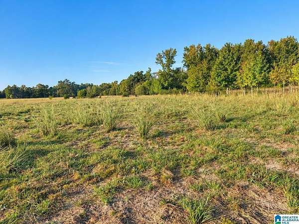 40 Acres of Agricultural & Residential Land for Sale in Stanton, Alabama