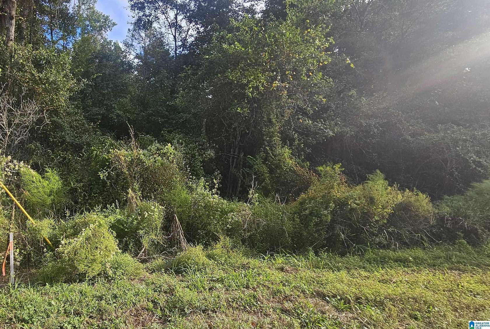 1.54 Acres of Residential Land for Sale in Valley Grande, Alabama