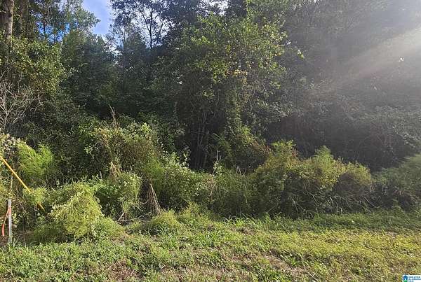 1.54 Acres of Residential Land for Sale in Valley Grande, Alabama