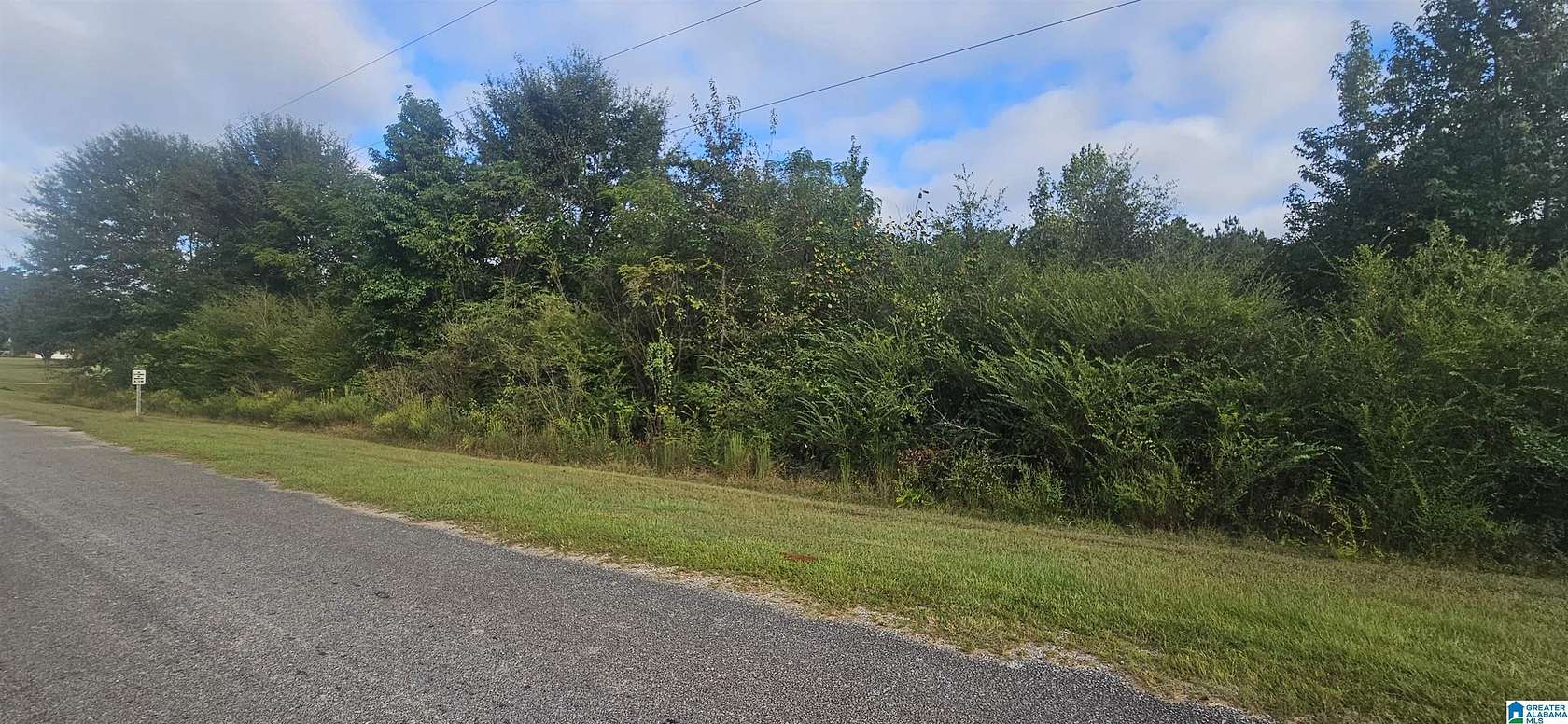 1.53 Acres of Residential Land for Sale in Valley Grande, Alabama