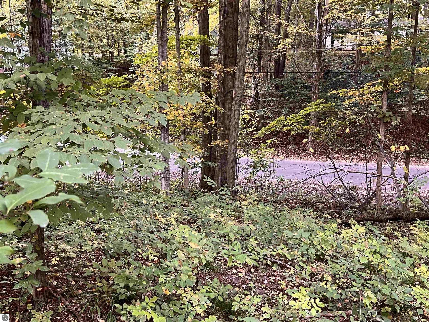 0.31 Acres of Land for Sale in Lake Ann, Michigan