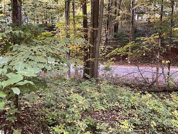 0.31 Acres of Land for Sale in Lake Ann, Michigan