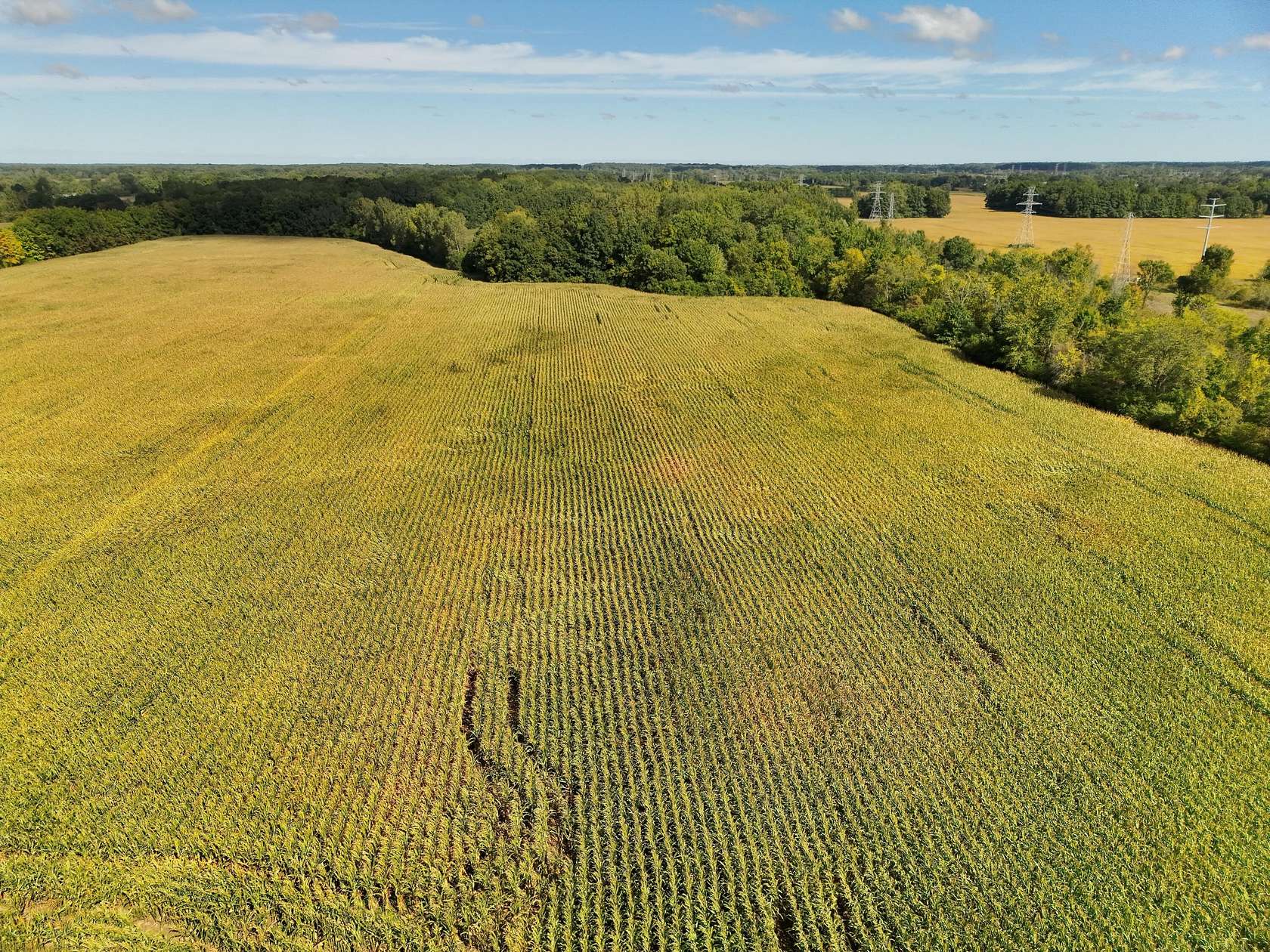 282 Acres of Land for Sale in Clio, Michigan