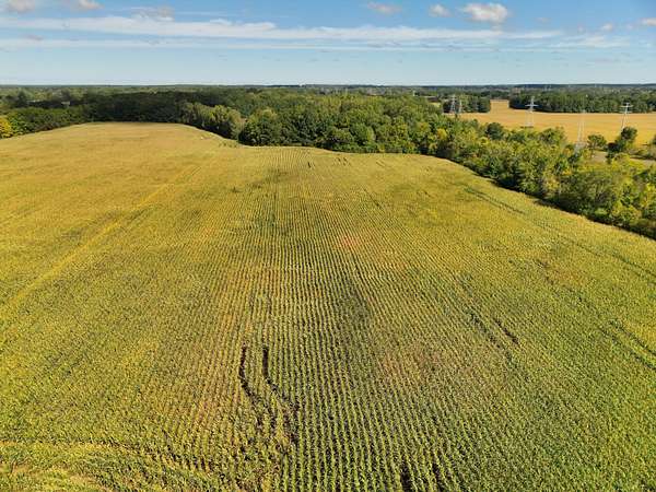 282 Acres of Land for Sale in Clio, Michigan