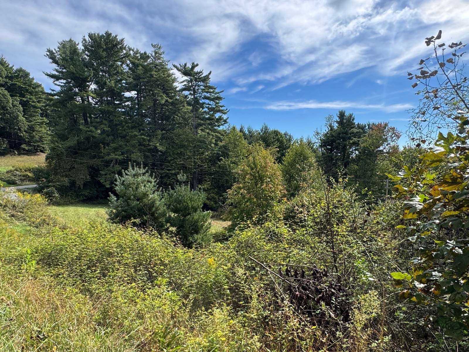 6.2 Acres of Land for Sale in Newland, North Carolina