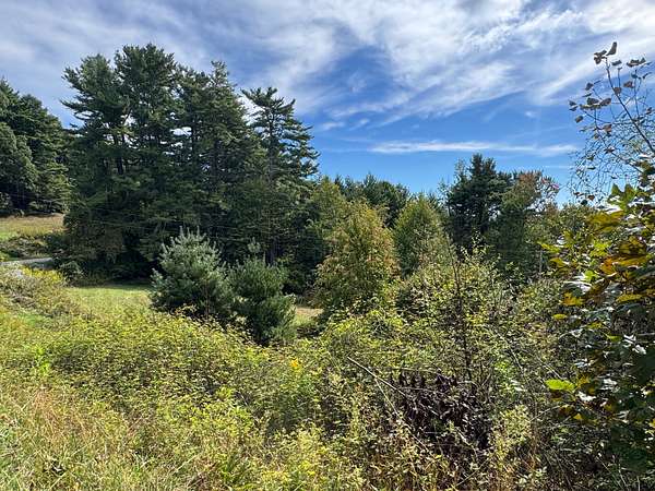 6.2 Acres of Land for Sale in Newland, North Carolina