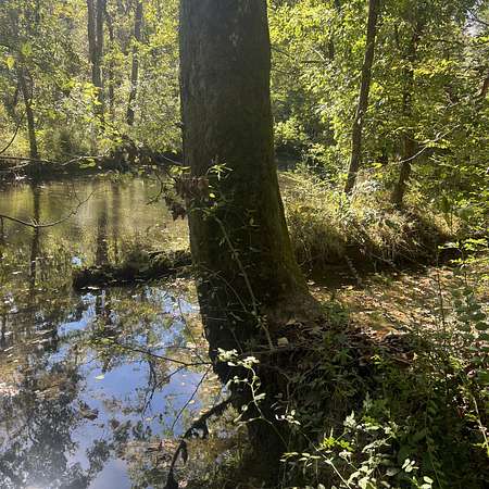 5.5 Acres of Land for Sale in Morrison, Tennessee