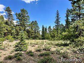 1.16 Acres of Residential Land for Sale in Fairplay, Colorado