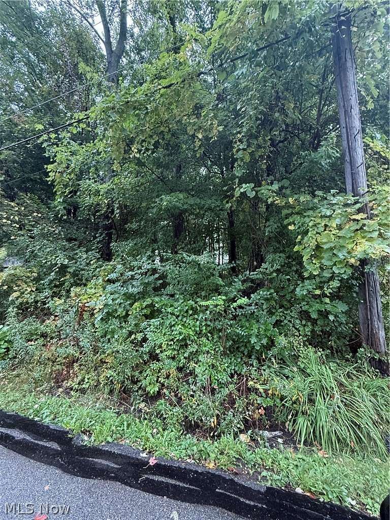 0.22 Acres of Land for Sale in Painesville Township, Ohio