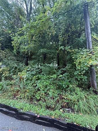 0.22 Acres of Land for Sale in Painesville Township, Ohio