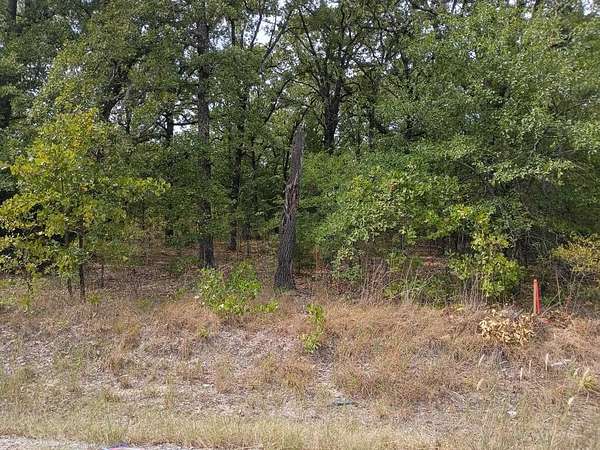0.07 Acres of Residential Land for Sale in Mabank, Texas