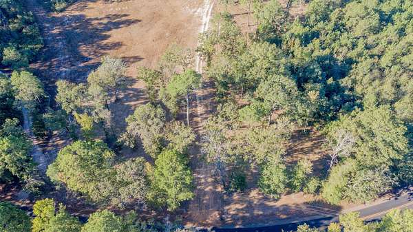 62 Acres of Recreational & Residential Land for Sale in Vivian, Louisiana