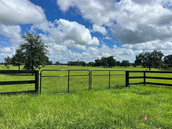 20 Acres of Land for Sale in Morriston, Florida