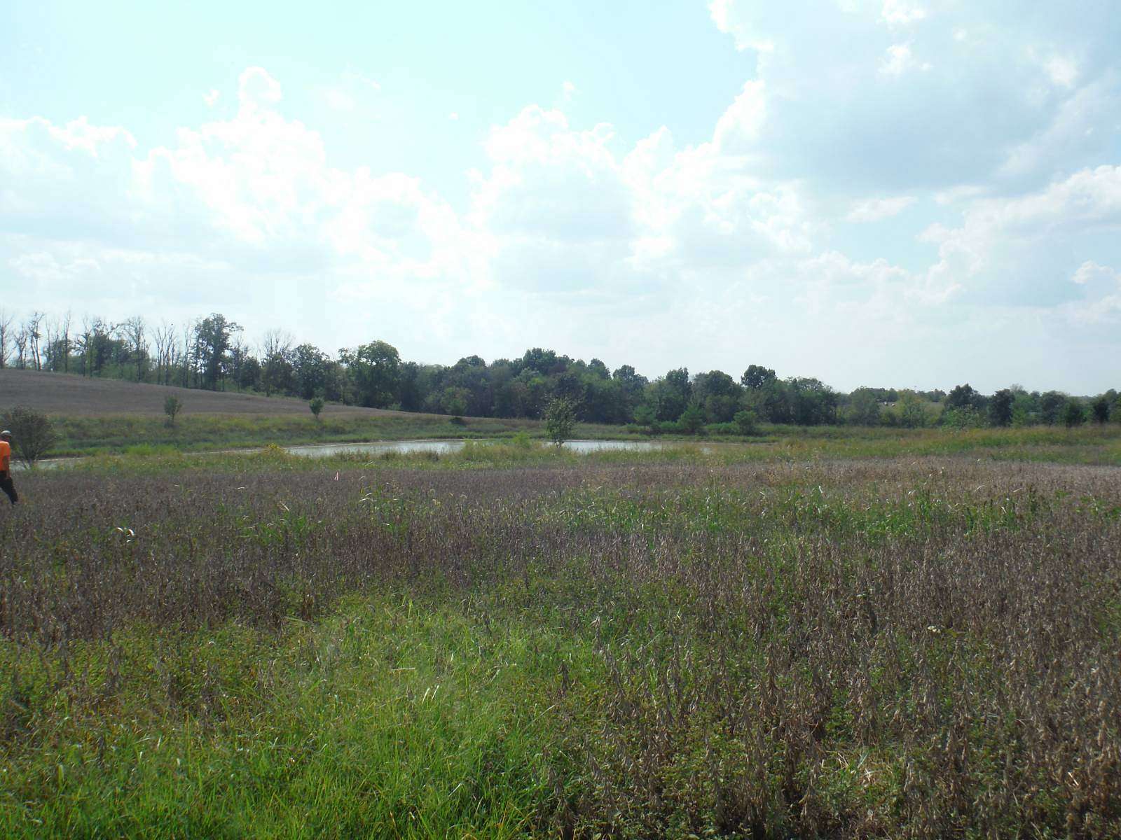 44.4 Acres of Recreational & Residential Land for Sale in Springfield, Kentucky