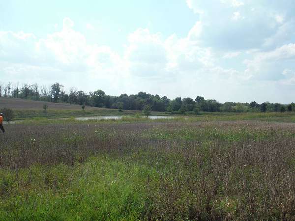 44.4 Acres of Recreational & Residential Land for Sale in Springfield, Kentucky