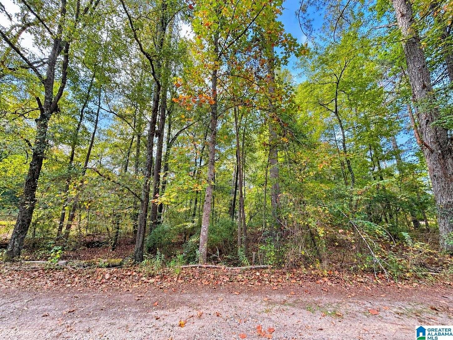 0.28 Acres of Residential Land for Sale in Wedowee, Alabama