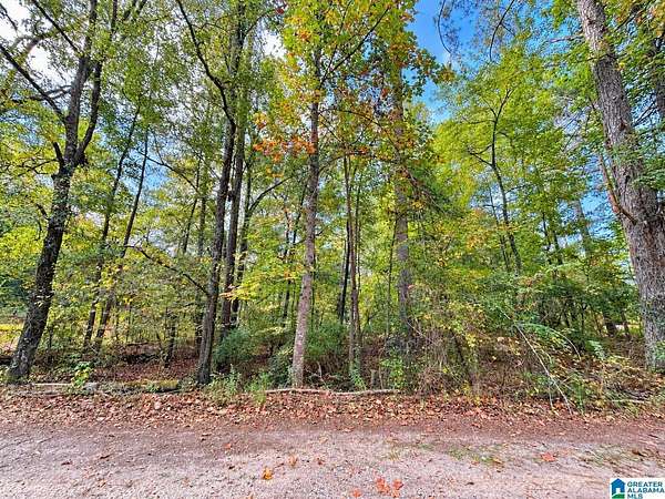 0.28 Acres of Residential Land for Sale in Wedowee, Alabama