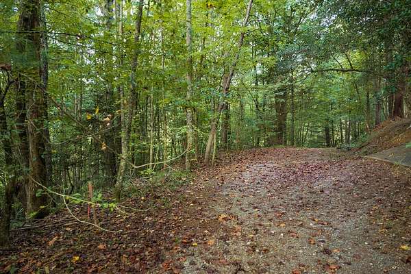 5 Acres of Recreational Land for Sale in Ellijay, Georgia