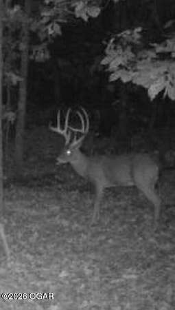 5 Acres of Land for Sale in Noel, Missouri