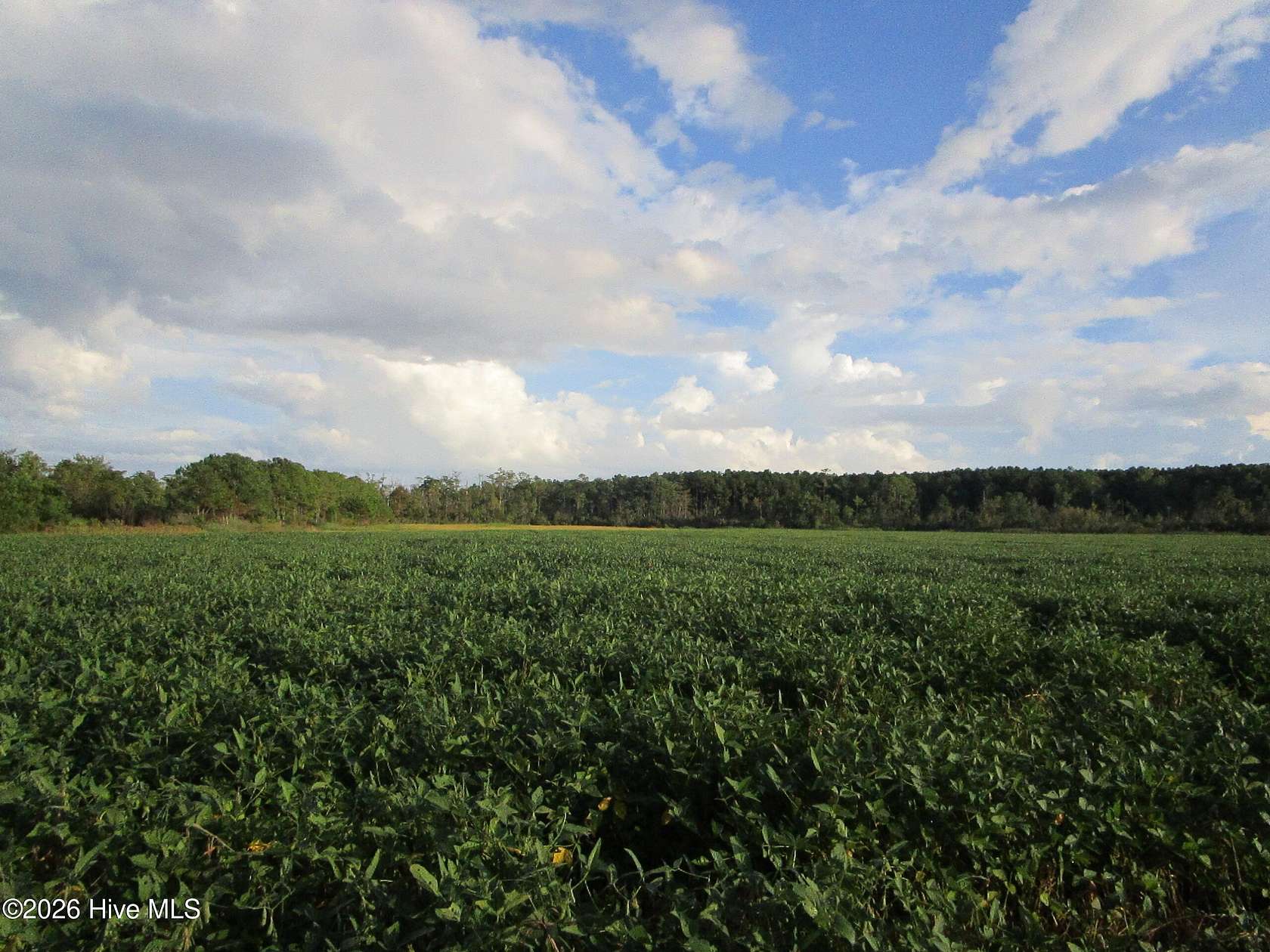 5.45 Acres of Agricultural Land for Sale in Elizabeth City, North Carolina
