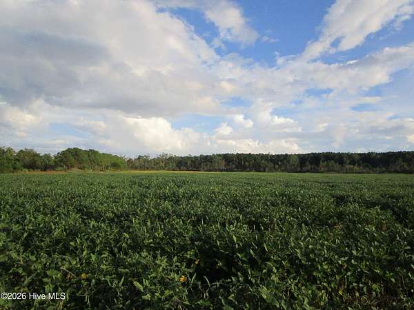 5.45 Acres of Agricultural Land for Sale in Elizabeth City, North Carolina