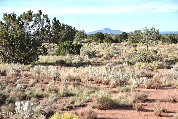 18 Acres of Land for Sale in Williams, Arizona