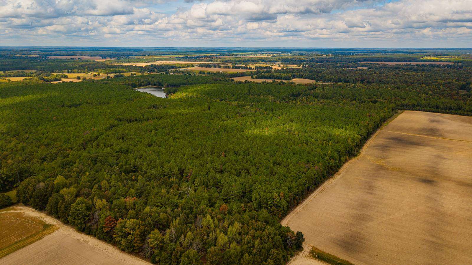 251 Acres of Recreational Land for Sale in Houlka, Mississippi