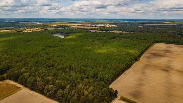 251 Acres of Recreational Land for Sale in Houlka, Mississippi
