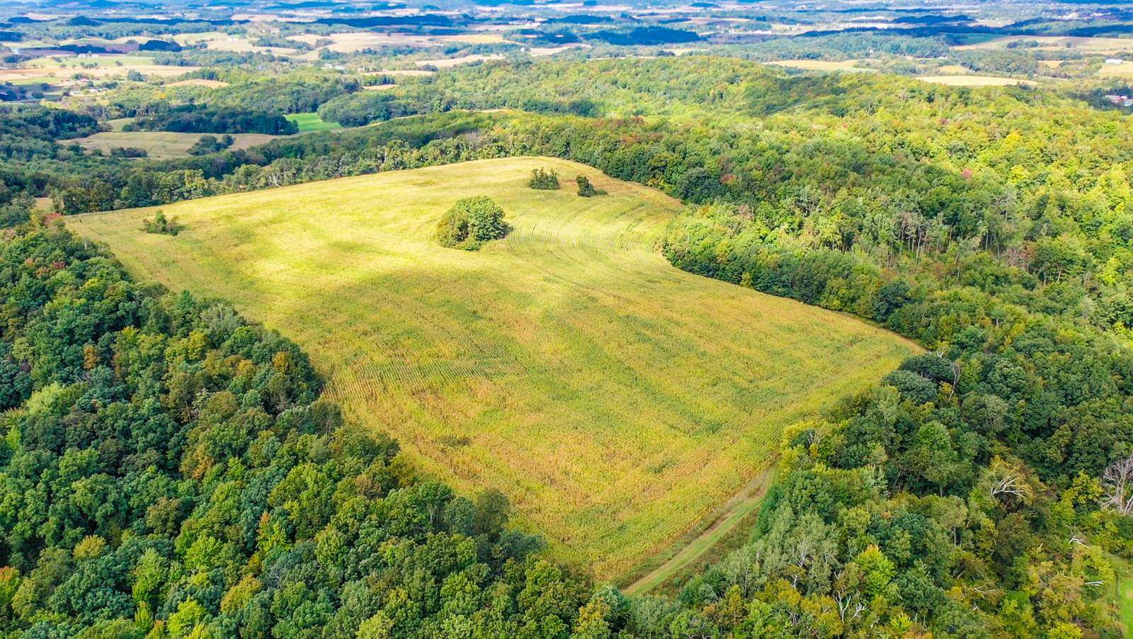 121 Acres of Land for Sale in Tomah, Wisconsin