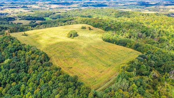 121 Acres of Land for Sale in Tomah, Wisconsin