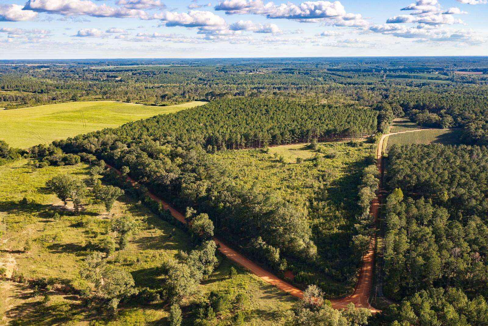248 Acres of Recreational Land for Sale in Opp, Alabama
