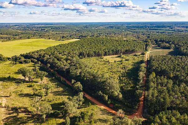 248 Acres of Recreational Land for Sale in Opp, Alabama