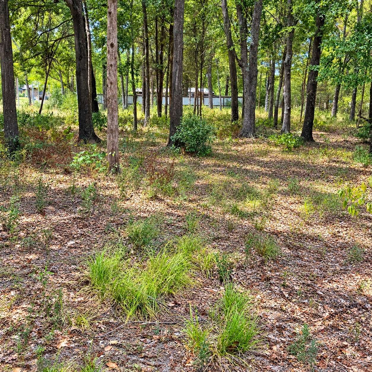 0.36 Acres of Residential Land for Sale in Malakoff, Texas
