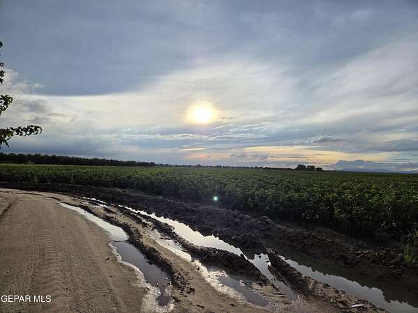 70 Acres of Agricultural Land for Sale in Fabens, Texas