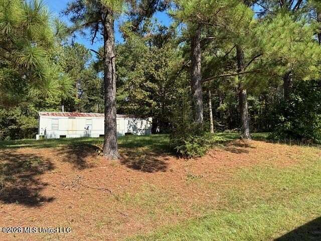 11.5 Acres of Land for Sale in Mendenhall, Mississippi