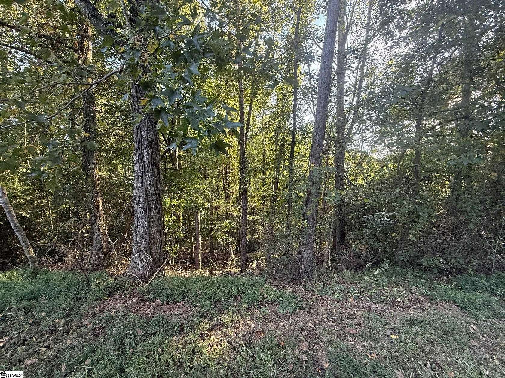 0.71 Acres of Residential Land for Sale in Townville, South Carolina