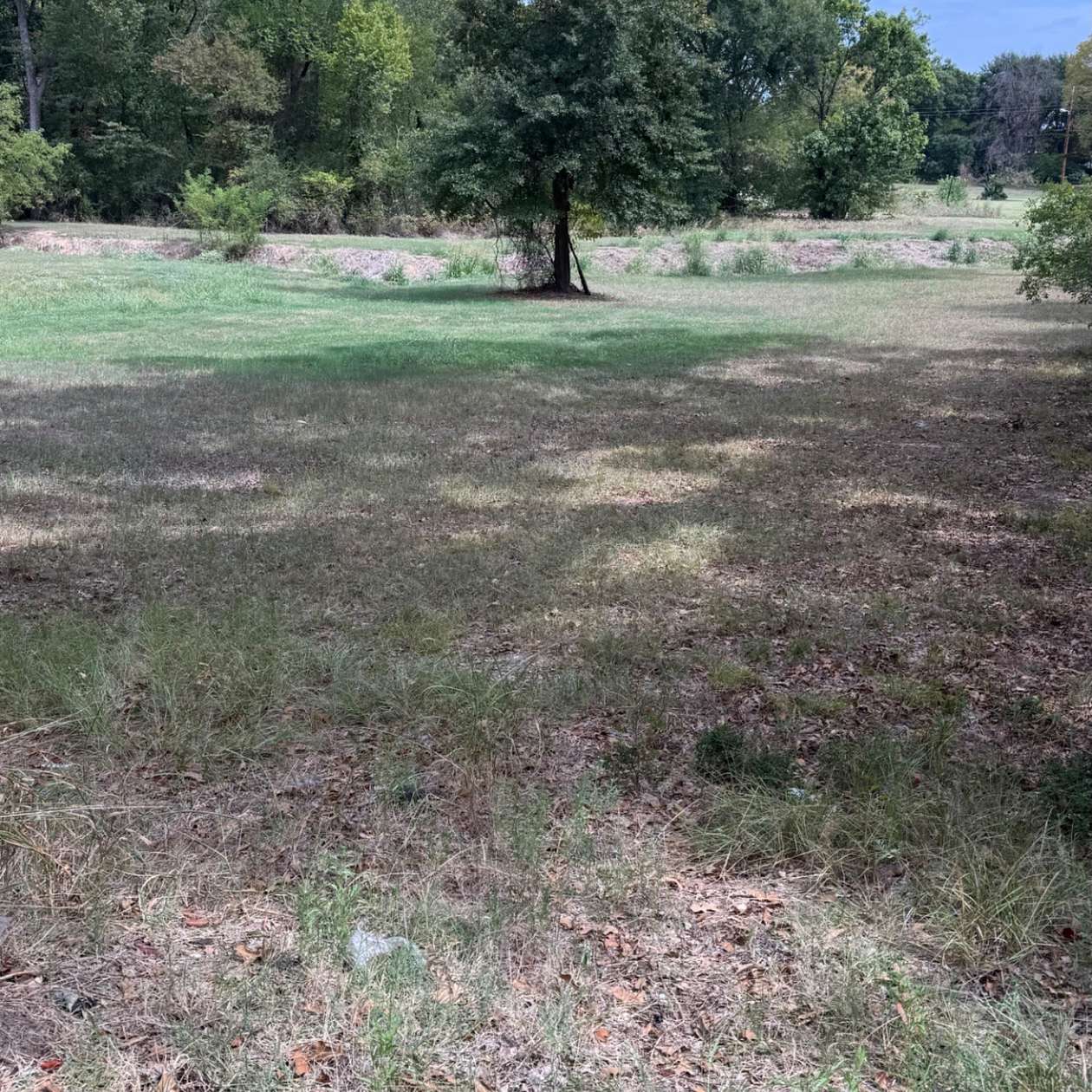 0.38 Acres of Residential Land for Sale in Malakoff, Texas