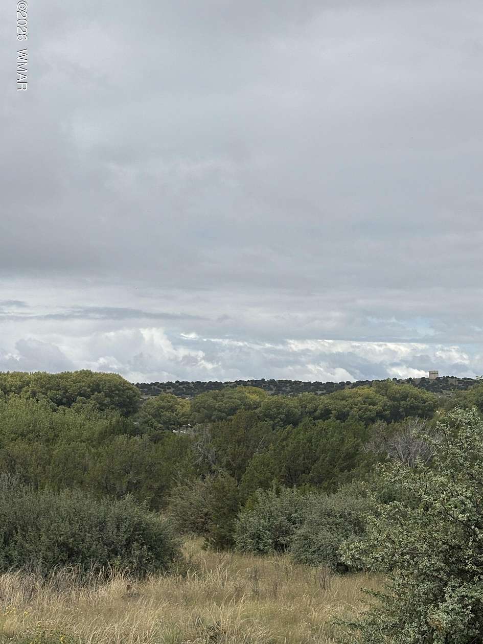 0.34 Acres of Residential Land for Sale in Concho, Arizona