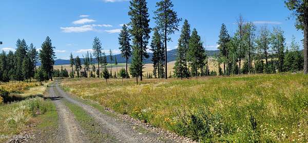 9 Acres of Residential Land for Sale in Plummer, Idaho