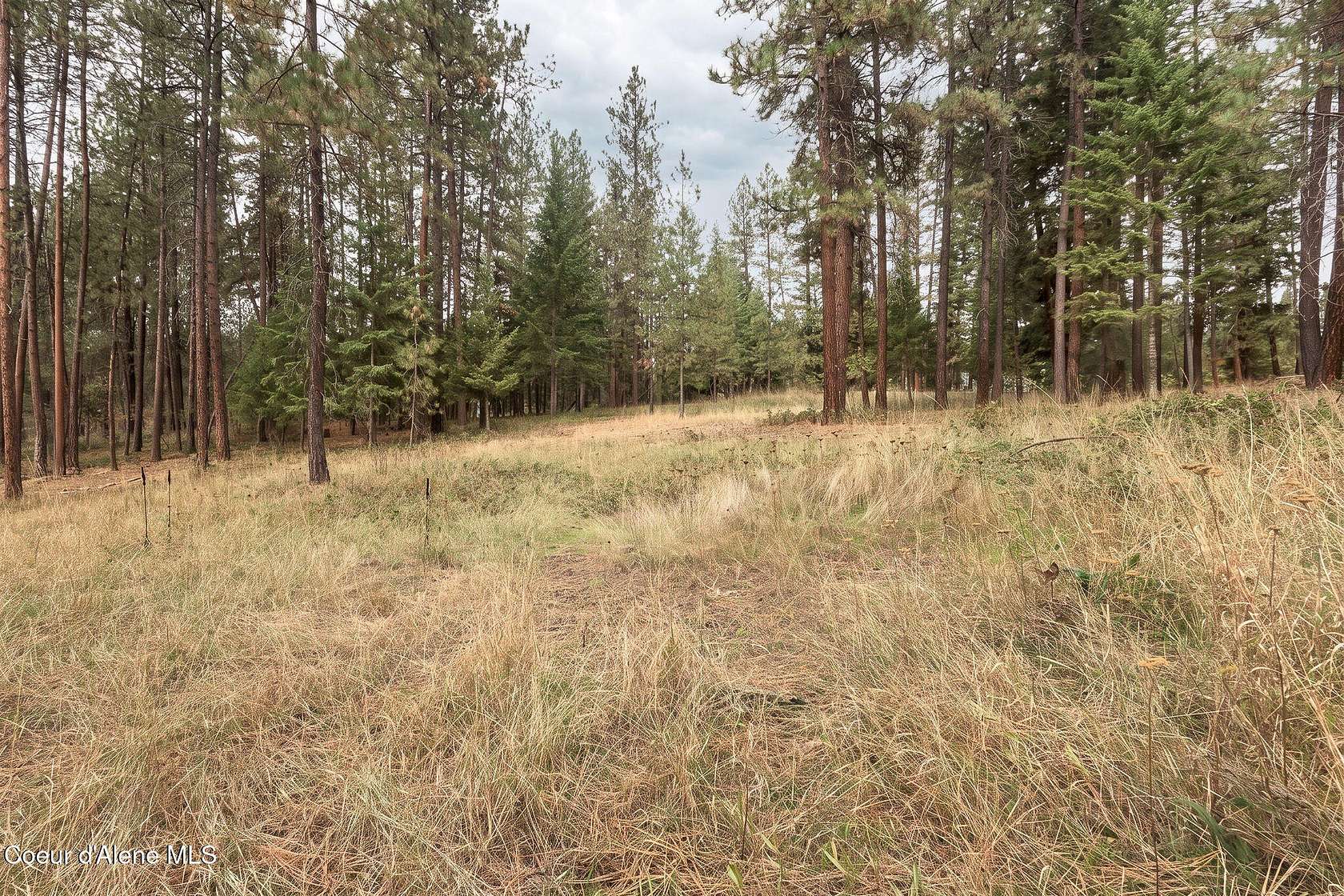 1.25 Acres of Residential Land for Sale in Moyie Springs, Idaho
